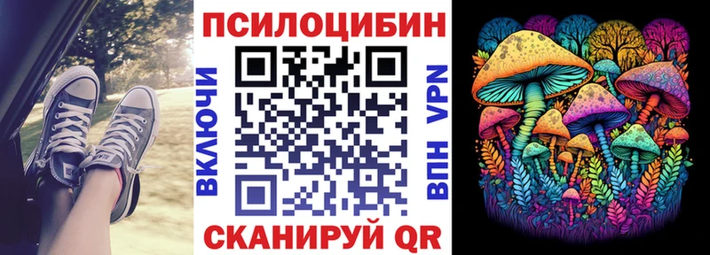 Псилоцибиновые грибы Cubensis  blacksprut онион  Кандалакша 