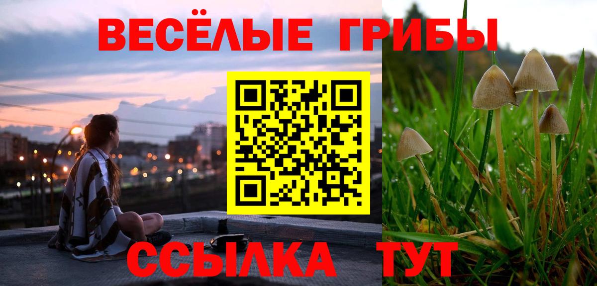Галлюциногенные грибы Psilocybe  Вход с VPN  Кандалакша 
