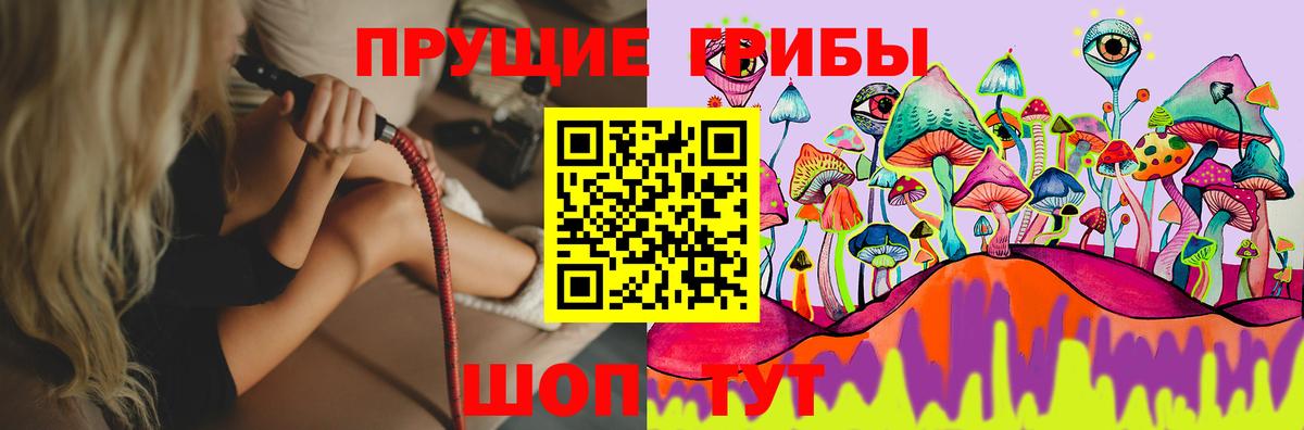 Галлюциногенные грибы прущие грибы Кандалакша