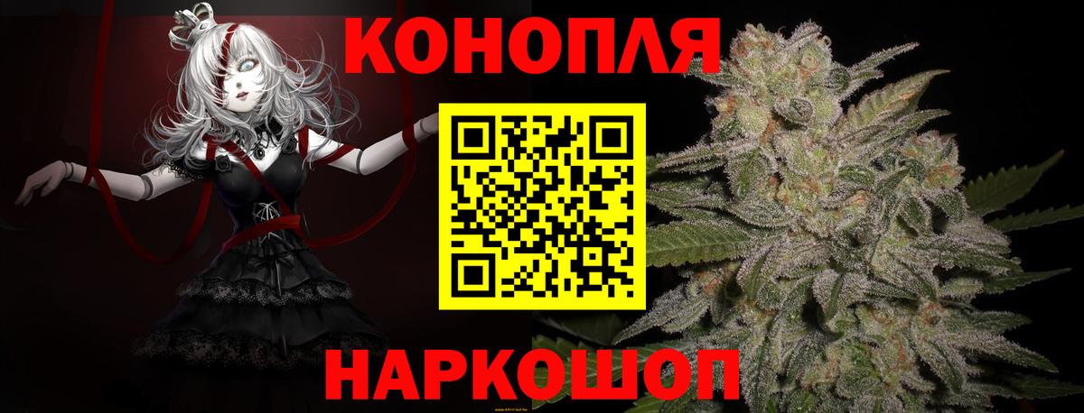 Конопля сатива  Канабис марихуана  Вход с VPN  Кандалакша  Марихуана Ganja  Канабис White Widow 